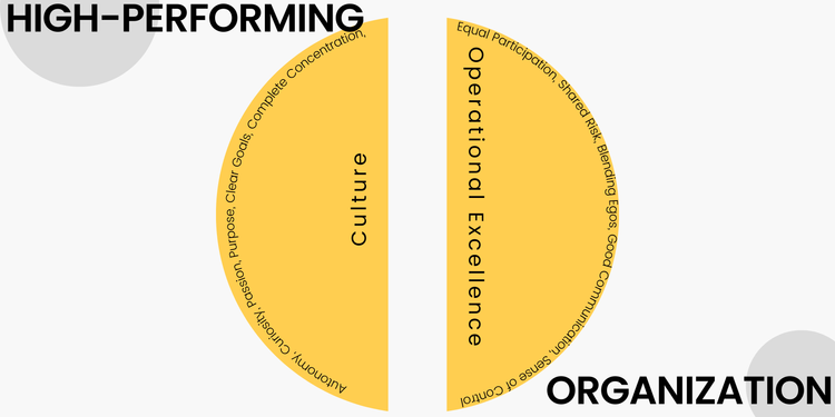 Operational Excellence and High-Performing Organizations