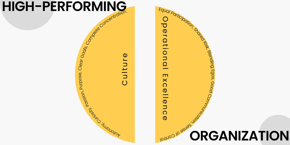 Operational Excellence and High-Performing Organizations